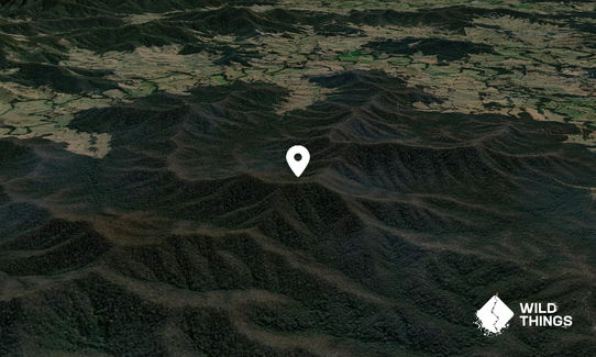 Scotsman Mountain