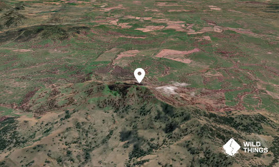Snowden Mountain