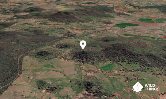 Sollys Mountain