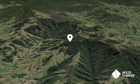 Spring Mountain