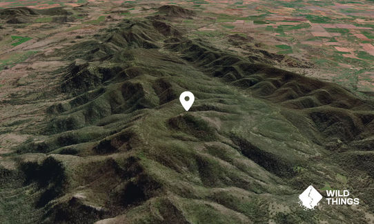 Taggarts Mountain