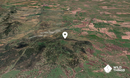 Tamarang Mountain
