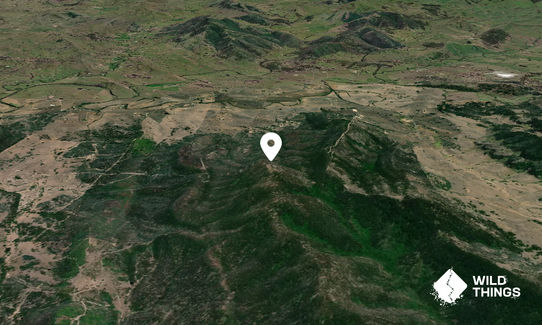 Tangory Mountain
