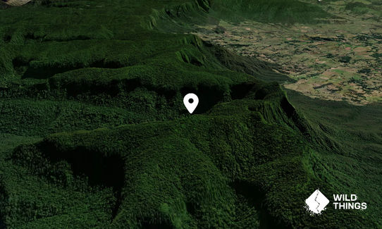 The Bar Mountain