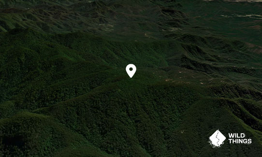 Tinebank Mountain