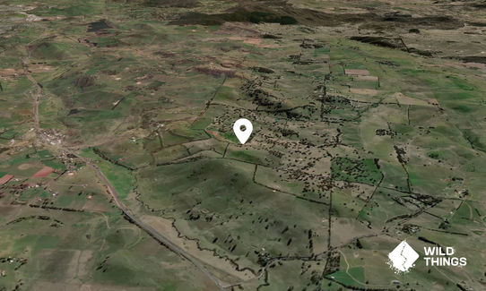 Tottens Hill