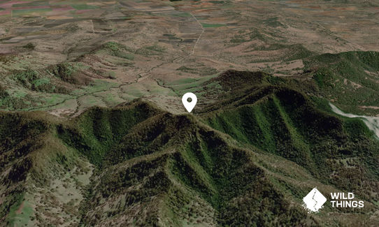Towarri Mountain