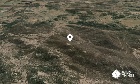 Turkey Mountain