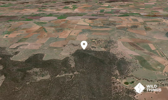 Wargundy Brothers