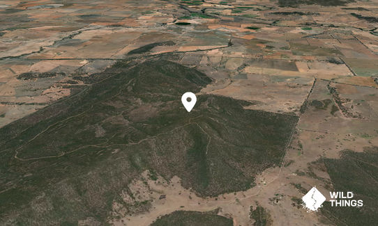 Warrumba Mountain