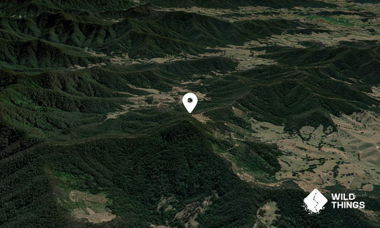 Whip Mountain