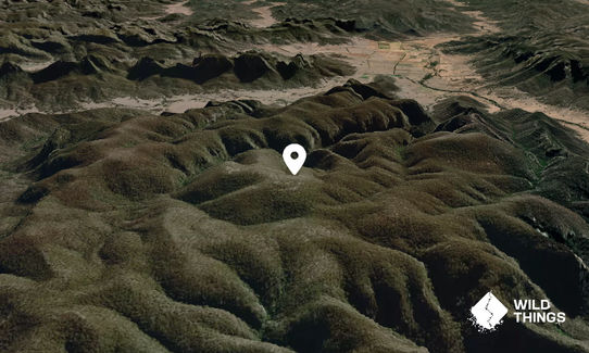 Widden Mountain