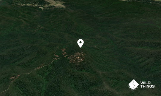 Winns Mountain