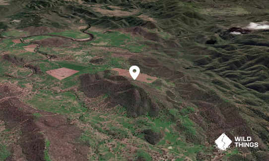 Woodburn Mountain