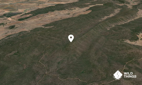 Yambira Mountain
