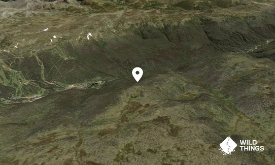 Paddy Rushs Bogong