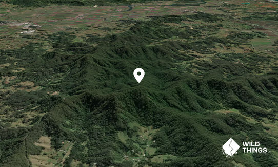 Burringbar Mountain