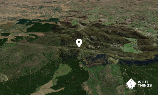 Mount Towac