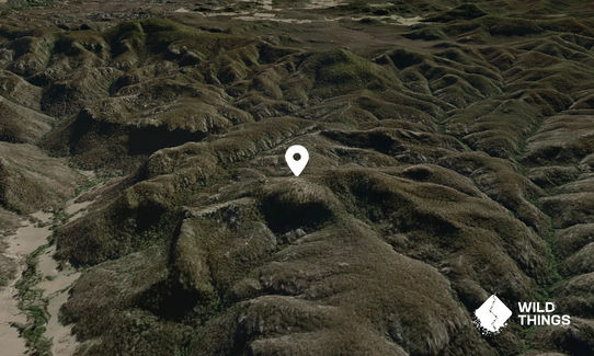Grassy Mountain