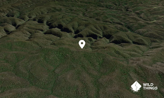 Mount Wirraba