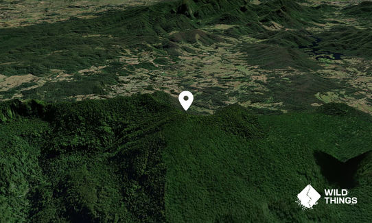 Mount Neville