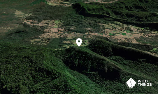Middle Mount