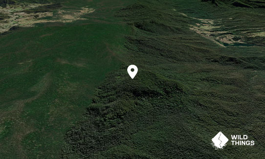 Mount Brown