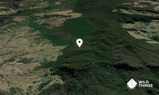 Mount Tryney