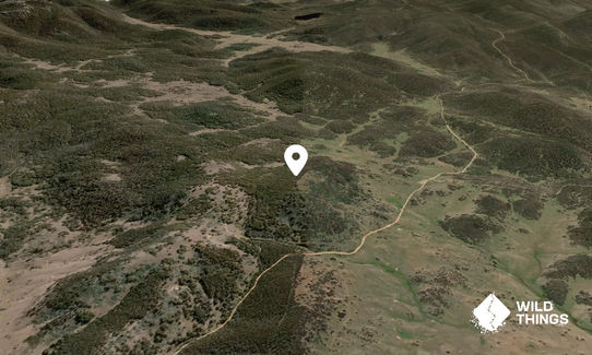 Wrights Hill