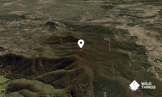 Mount Tingha