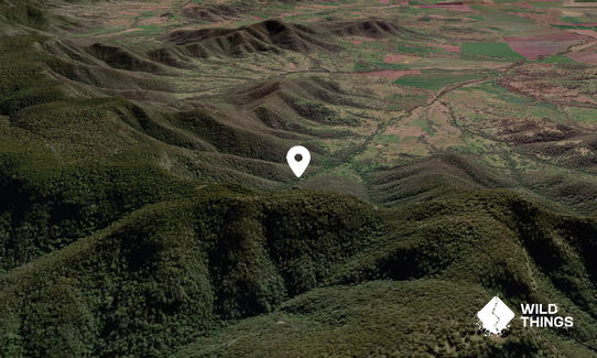 Shepherd's Peak