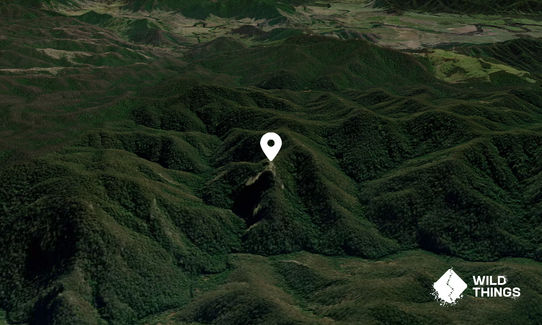 Mount Rockaree