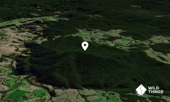 Mount Campion