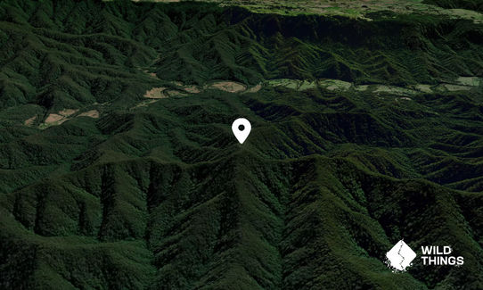 Scotchman Peak