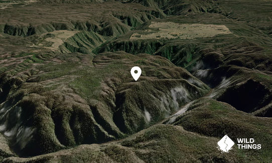 Rifle Hill