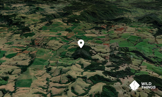 Mount Bulli