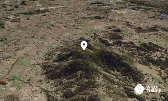 Mount Campbell