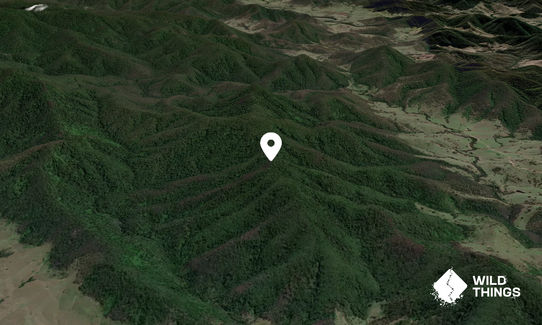 Frosts Peak