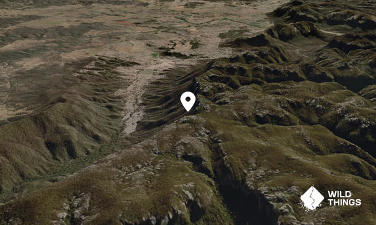 Mount Dawson