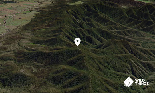 Deua Mountain