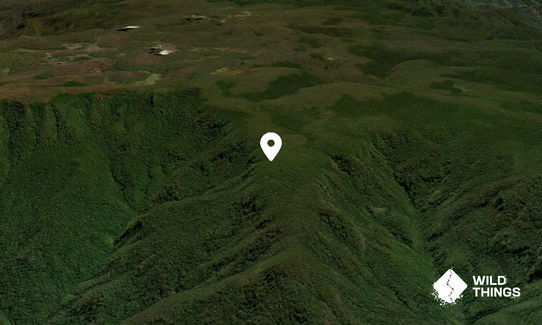 Mount William