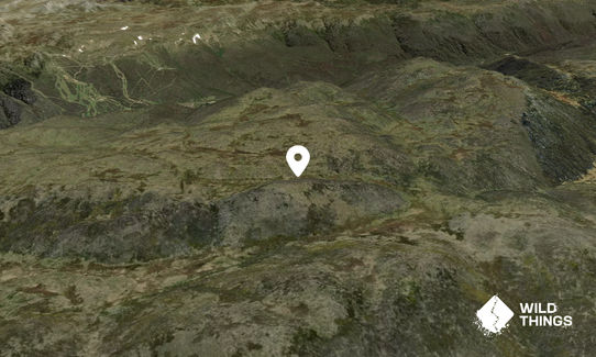 Mount Leo