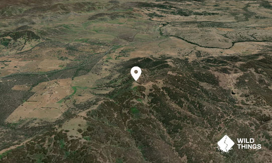 Bullimballa Mountain