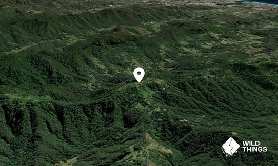 Mount Tomewin