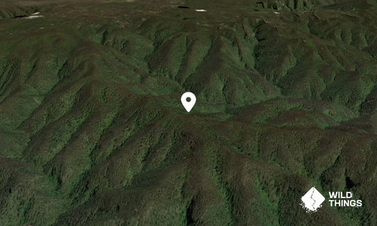 Mount Savage