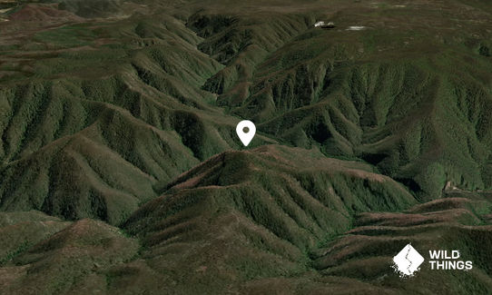 Mount Moona Loombah