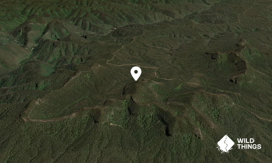 Tonalli Mountain