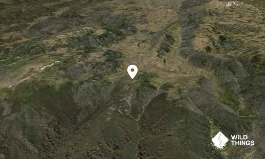 Wesley Mountain