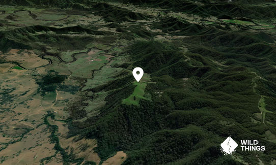 Mount Botumboin