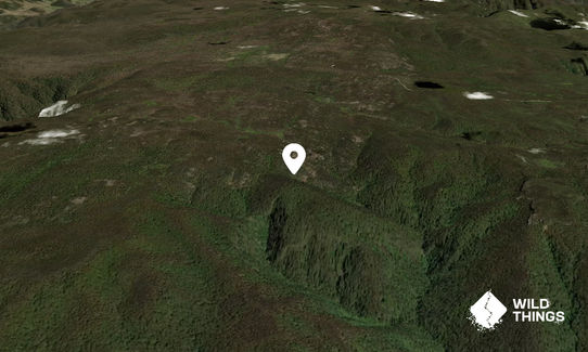 Mount Wheengee Whungee
